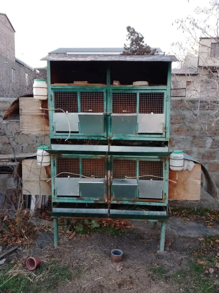 Ճագարի բներ 2 հարկանի