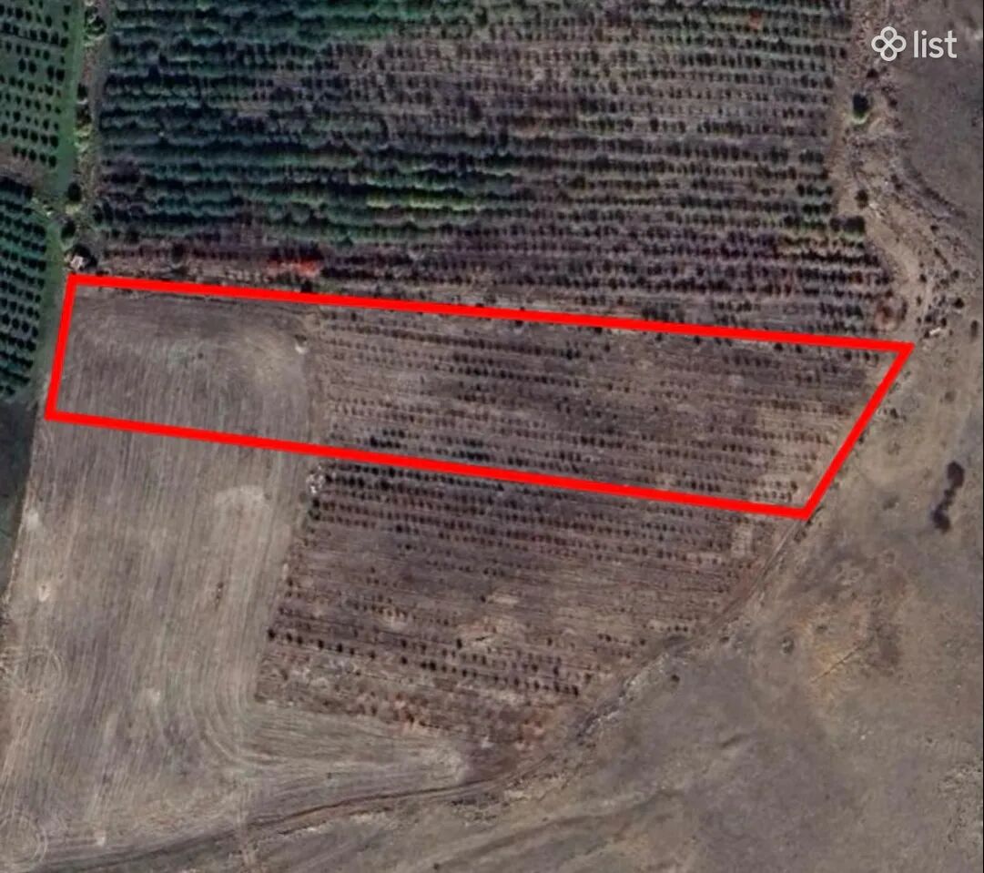 Agricultural plot in Aragyugh, 12,546 sq.m.
