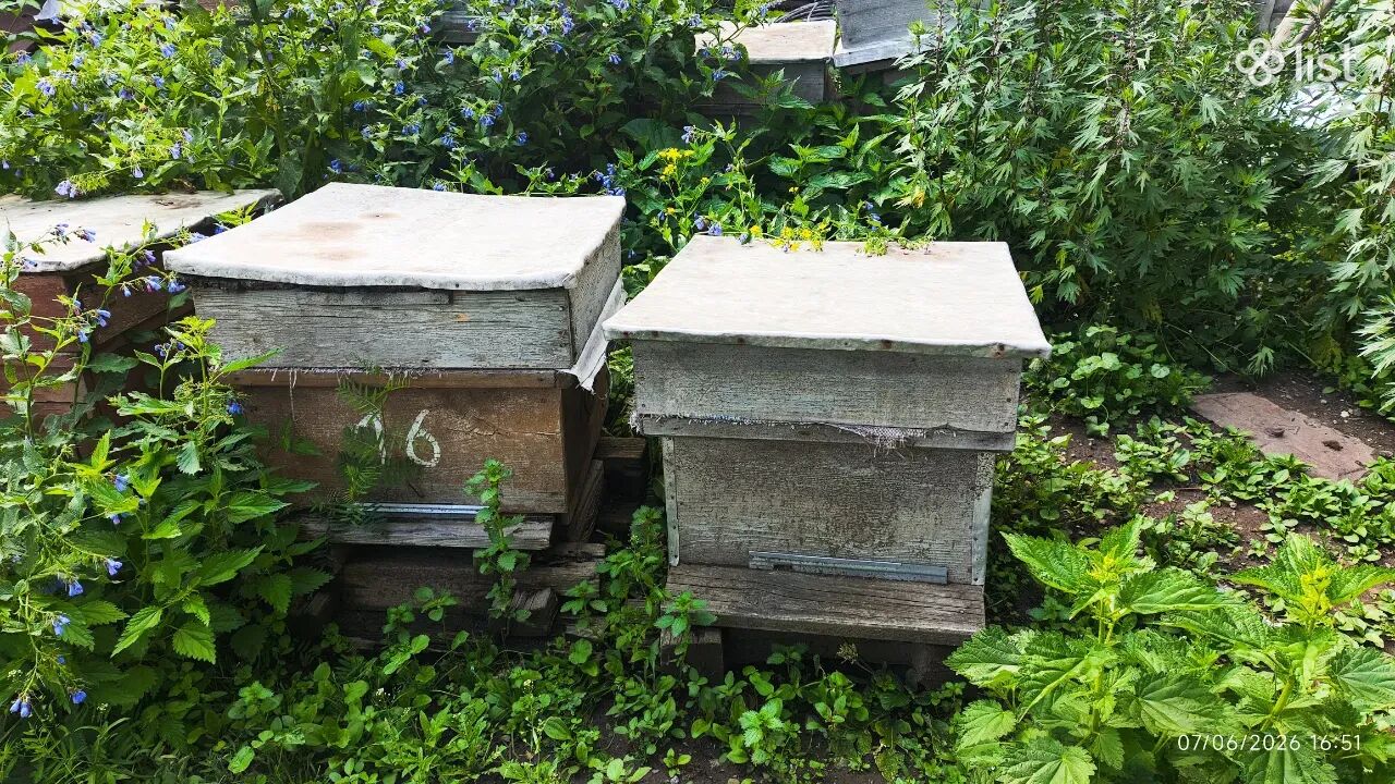 Մեղվի փեթակներ, ռամկաներ, մեղրաքամ և այլ գործիքներ