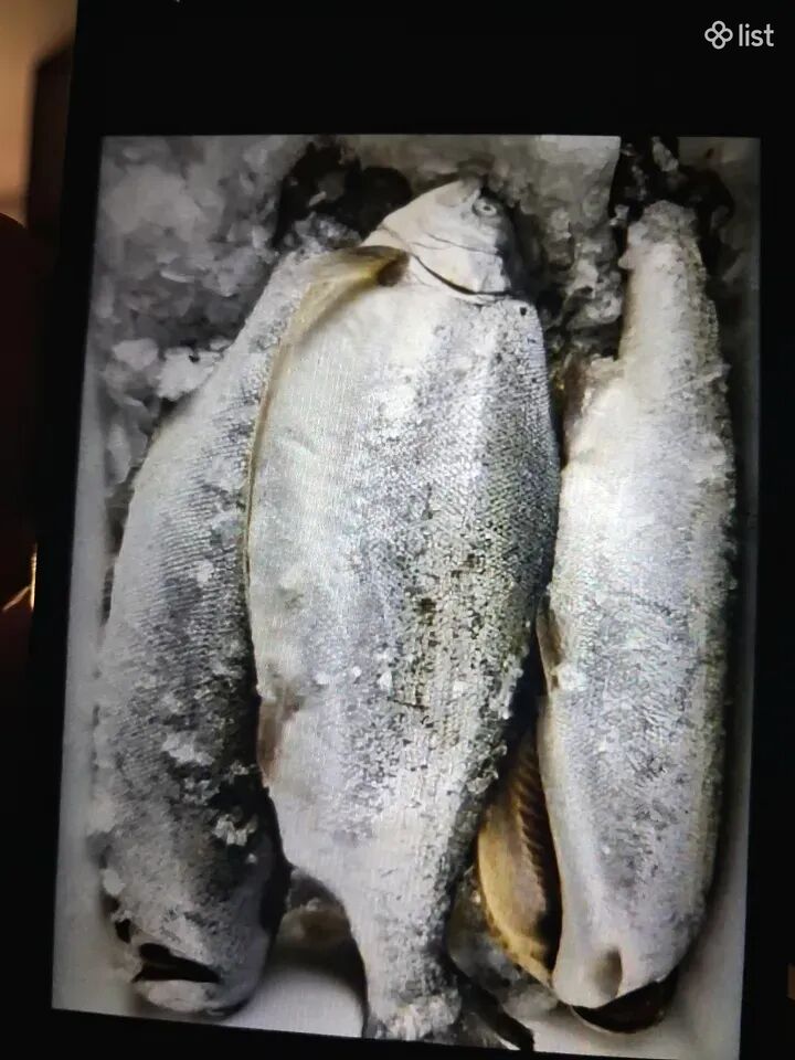 Սառեցրած իշխան Թարմ ընտիր ձուկա