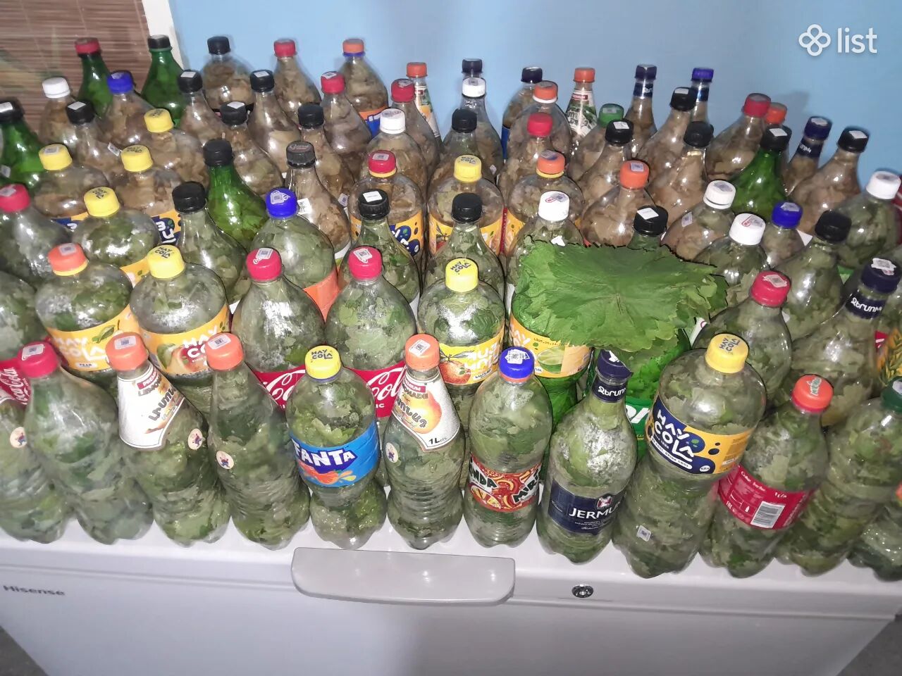 Խաղողի տերև խաղողի տերև