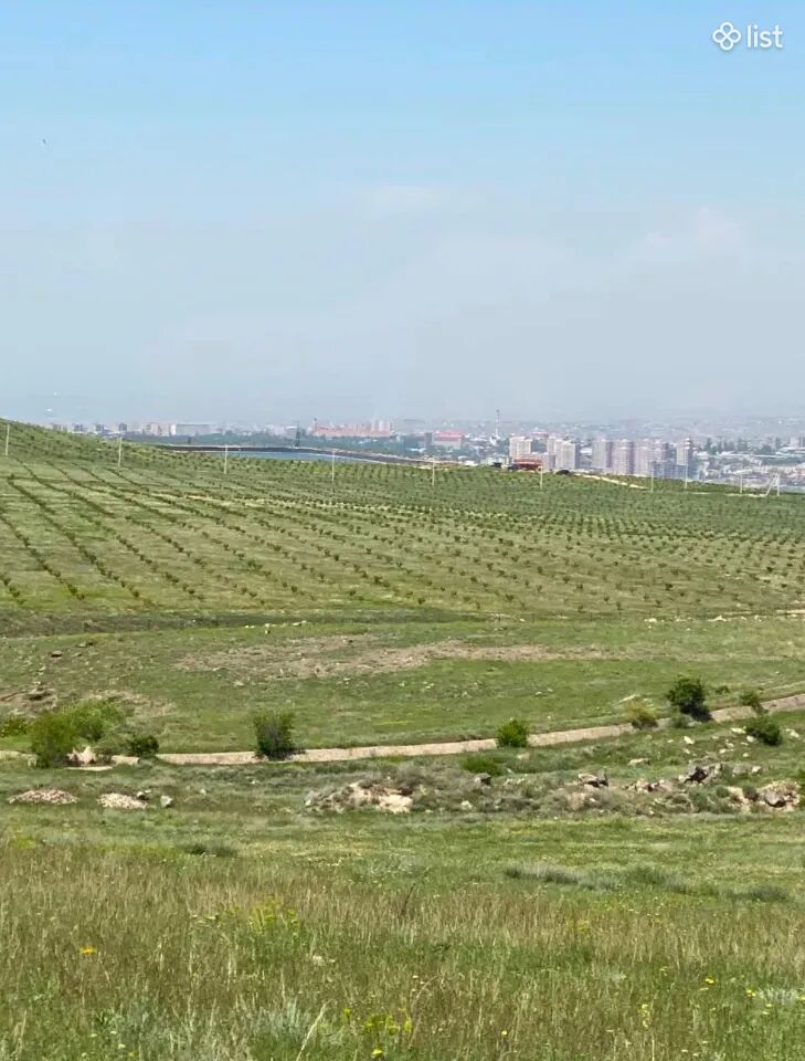 Agricultural plot on Banaki Street in Dzoraghbyur, 15,000 sq.m.