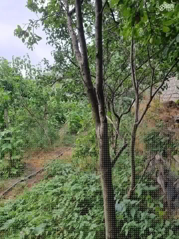 Հողատարածք բնակելի շինությունների համար Տավրոս 4-րդ փողոցում Վանաձորում, 400 քմ