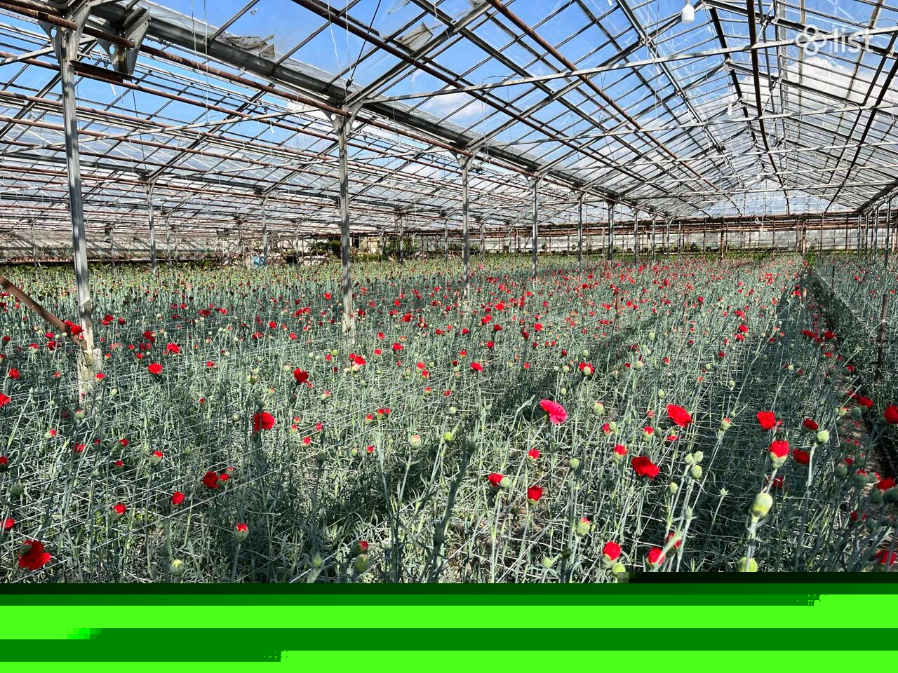 Գյուղատնտեսական գույք, Տ-2-30 Մրգանուշում, 3,000 քմ