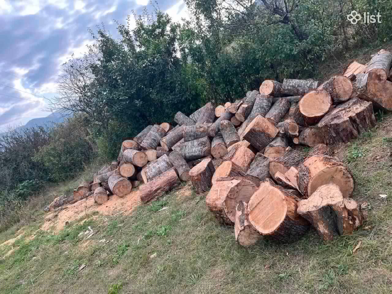Ցախ, փայտ, վառելափայտ.Շուկայակա նից էժան գներ