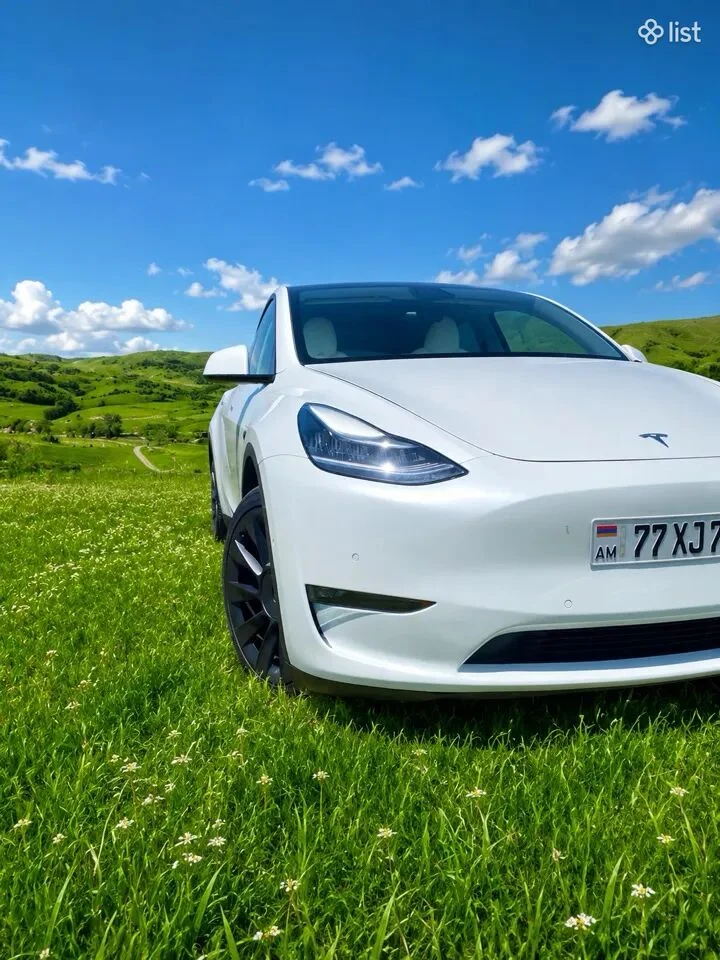 2021 Tesla Model Y, electric