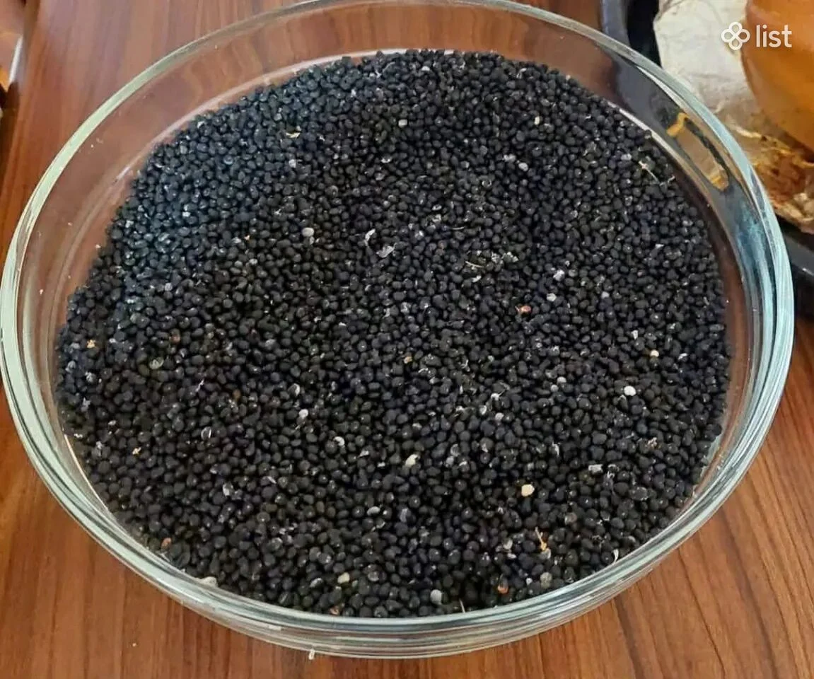 Ծնեբեկ Մերի Վաշինգտոն