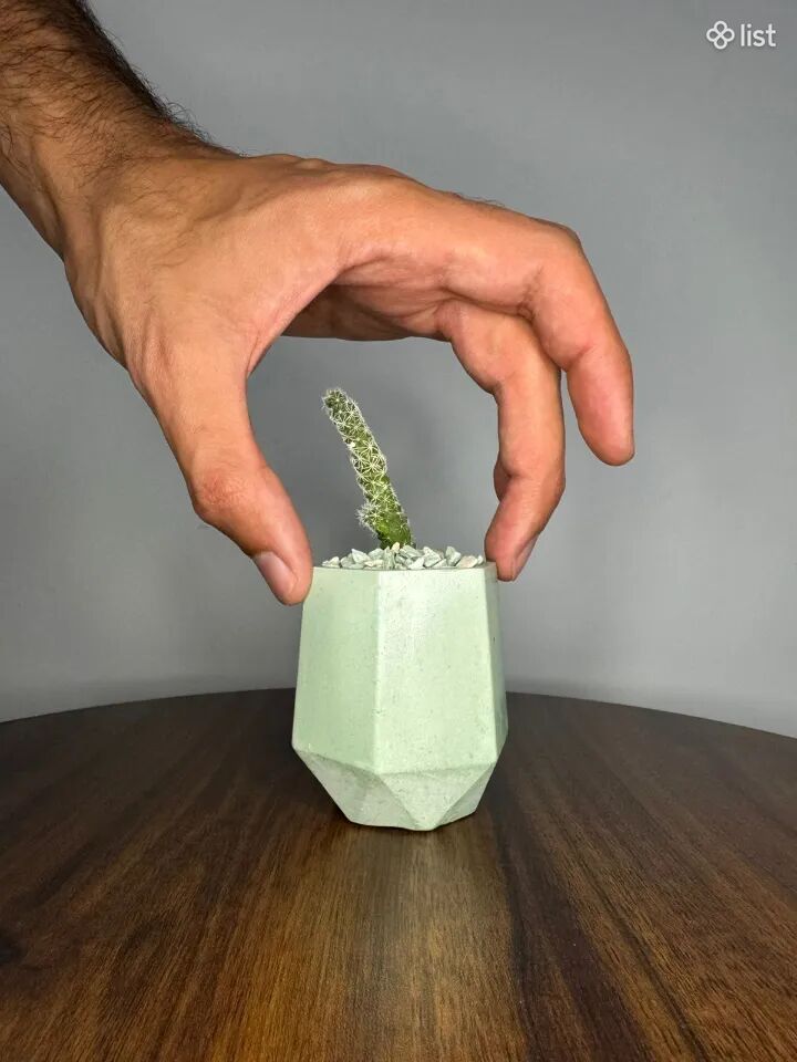Ծաղկամանով ծաղիկ, Flower in a vase Cactus small Cactus in a vase, Цветок в вазе Кактус маленький Кактус в вазе