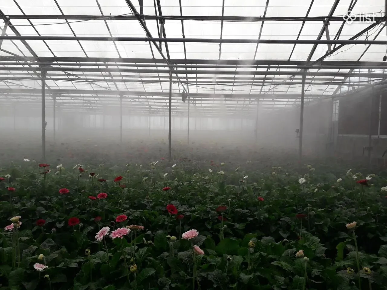 Ջրային մարախուղի համակարգեր Система водяного тумана Fogger